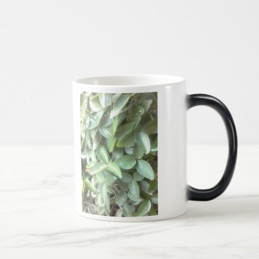 Fotomorfine-mok Magische Mok (Rechts)