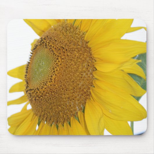 fotomousepad voor witte zonnebloem muismat (Voorkant)