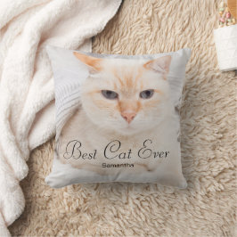 Fotonaam beste kat ooit kussen