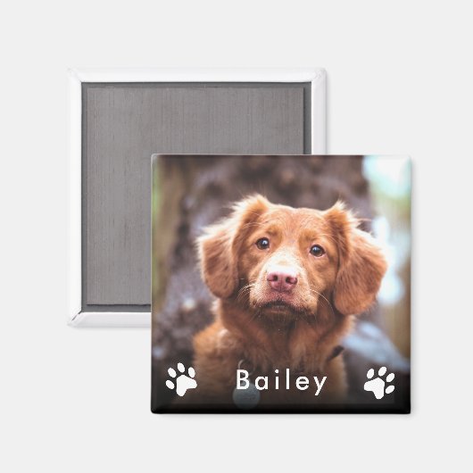 Fotonaam instellen magneet (Voorkant / Achterkant)