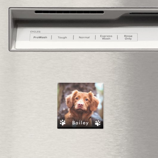 Fotonaam instellen magneet (Insitu (Vaatwasser))