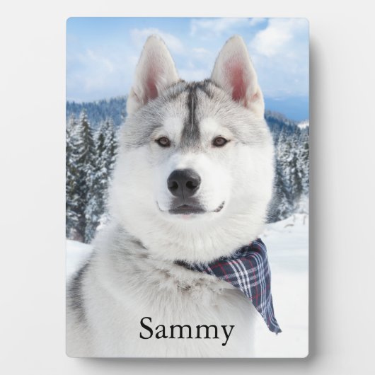 Fotonaam tablet Plaque met Easel Fotoplaat (voorkant)