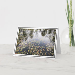 Fotoond met bladeren en reflecties over bomen kaart