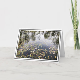 Fotoond met bladeren en reflecties over bomen kaart