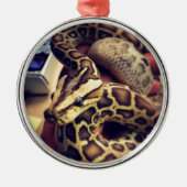 Fotoontwerp van de hypo-baby birmese python. metalen ornament (Voorkant)