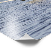 Fotopaartjes van toendra die opstijgen voor foto afdruk (Hoek)