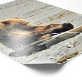 Fotopapier (Satin) met grizzly beer cub Foto Afdruk (Hoek)