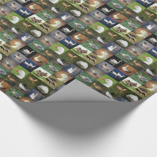 Fotopatchwork - vogels cadeaupapier (Hoek)