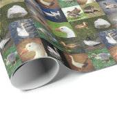 Fotopatchwork - vogels cadeaupapier (Rol Hoek)