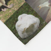 Fotopatchwork - vogels fleece deken (Hoek)