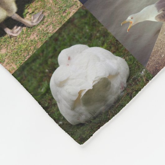 Fotopatchwork - vogels fleece deken (Hoek)