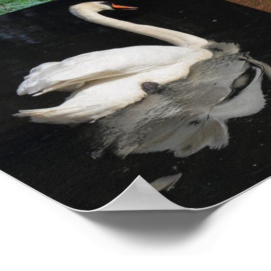 Fotopatchwork - vogels poster (Hoek)