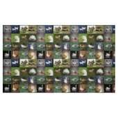 Fotopatchwork - vogels stof (Fat Quarter)