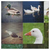 Fotopatchwork - vogels stof (Close Up)