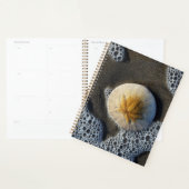 Fotoplank voor zandband en Surven  Planner (Display)