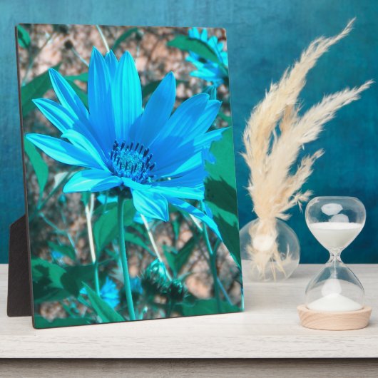 Fotoplaque van Wilde Blue Sunflower Fotoplaat (Zijkant)