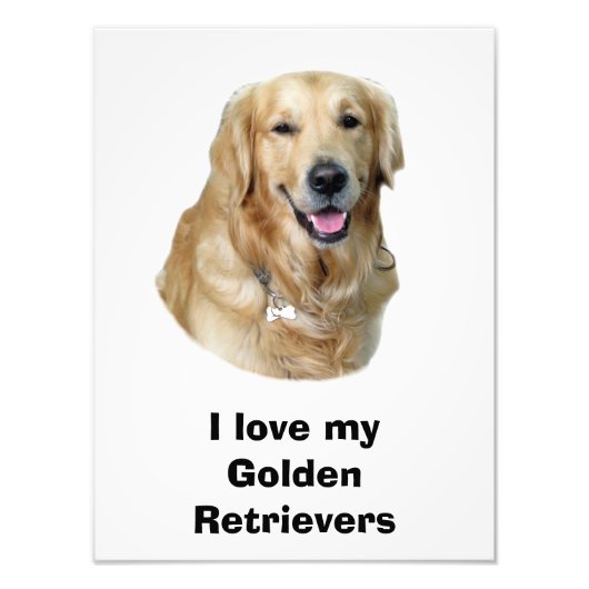 Fotoportret Golden Retriever Foto Afdruk (Voorkant)