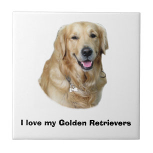 Fotoportret Golden Retriever Tegeltje