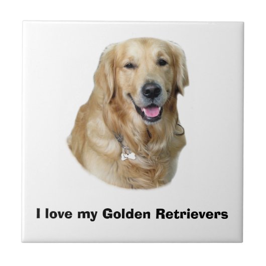 Fotoportret Golden Retriever Tegeltje (Voorkant)