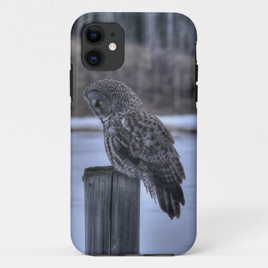 Fotoportret III: Great Grey Owl Wildlife Case-Mate iPhone Case (Achterkant)