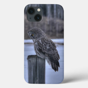 Fotoportret III: Great Grey Owl Wildlife iPhone 13 Hoesje