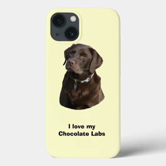 Fotoportret van Chocolate Labrador Case-Mate iPhone Case (Achterkant)