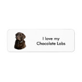 Fotoportret van Chocolate Labrador Etiket (Voorkant)
