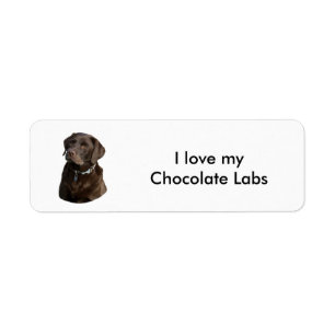 Fotoportret van Chocolate Labrador Etiket
