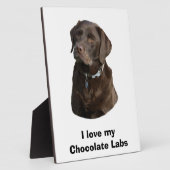 Fotoportret van Chocolate Labrador Fotoplaat (Zijkant)