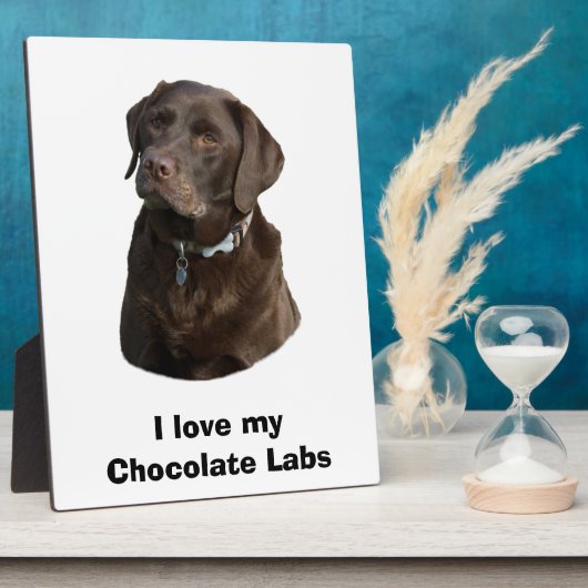 Fotoportret van Chocolate Labrador Fotoplaat (Zijkant)