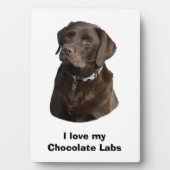 Fotoportret van Chocolate Labrador Fotoplaat (voorkant)