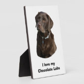 Fotoportret van Chocolate Labrador Fotoplaat (Zijkant)