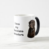 Fotoportret van Chocolate Labrador Magische Mok (Voorkant rechts)