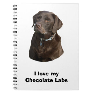 Fotoportret van Chocolate Labrador Notitieboek