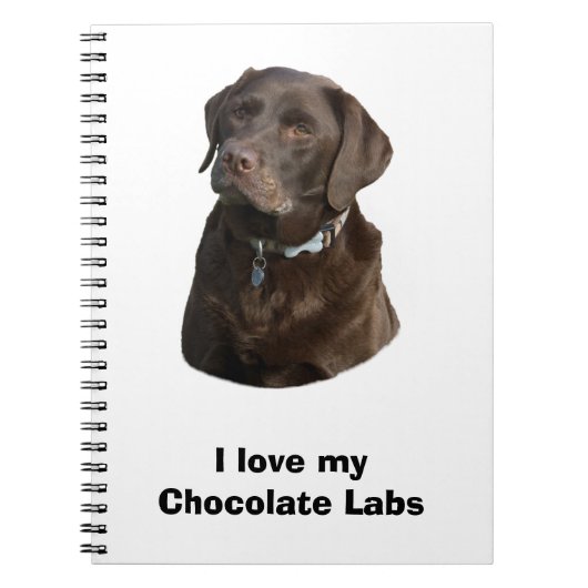 Fotoportret van Chocolate Labrador Notitieboek (Voorkant)