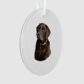 Fotoportret van Chocolate Labrador Ornament (voorkant)