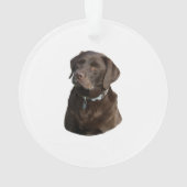 Fotoportret van Chocolate Labrador Ornament (achterkant)