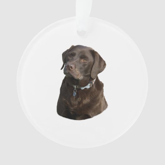 Fotoportret van Chocolate Labrador Ornament (voorkant)
