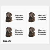 Fotoportret van Chocolate Labrador Rechthoekige Sticker (Vel)
