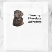 Fotoportret van Chocolate Labrador Rechthoekige Sticker (Tas)