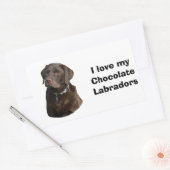 Fotoportret van Chocolate Labrador Rechthoekige Sticker (Envelop)