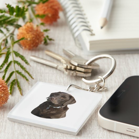 Fotoportret van Chocolate Labrador Sleutelhanger (Voorkant Rechts)