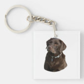 Fotoportret van Chocolate Labrador Sleutelhanger (Voorkant)