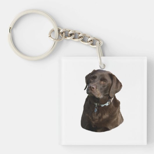 Fotoportret van Chocolate Labrador Sleutelhanger (Voorkant)