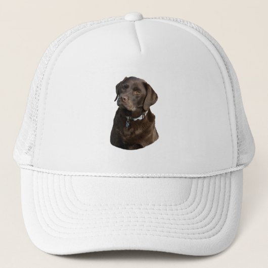 Fotoportret van Chocolate Labrador Trucker Pet (Voorkant)