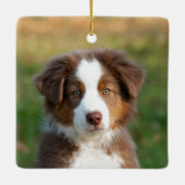Fotoportret van Cute Australian Shepherd Dog Puppy Keramisch Ornament (Achterkant)