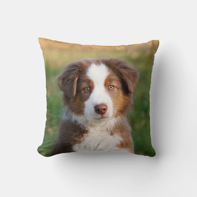 Fotoportret van Cute Australian Shepherd Dog Puppy Kussen (Voorkant)