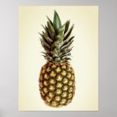 Fotoposter kleine ananas poster (Voorkant)