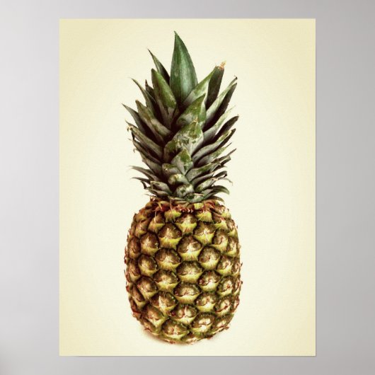 Fotoposter kleine  ananas poster (Voorkant)