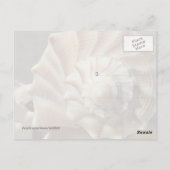 Fotopostkaart met Lightning Whelk-Schelp Briefkaart (Achterkant)